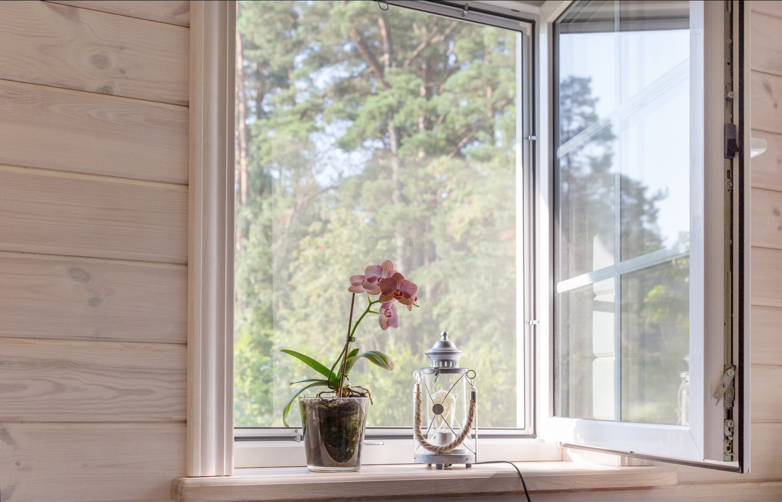 Window sill with orchid and lamp